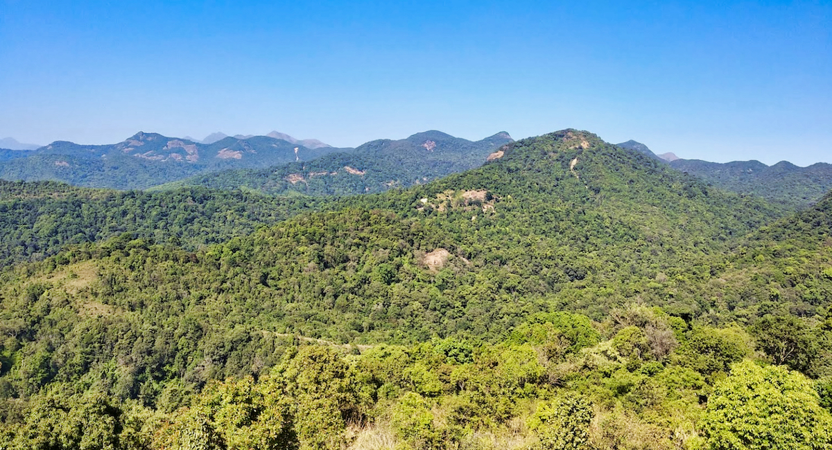 Alumini Meetup & Trekking in Silent Valley National Park